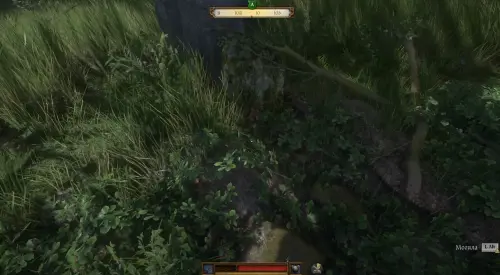 Бог располагает в Kingdom Come Deliverance 2: где найти могилу под деревом