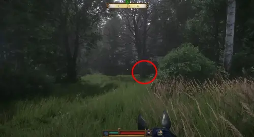Бог располагает в Kingdom Come Deliverance 2: где найти могилу под деревом