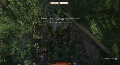 Бог располагает в Kingdom Come Deliverance 2: где найти могилу под деревом