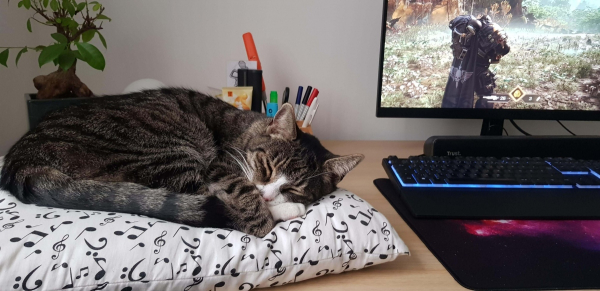 Warhammer 40k: Space Marine 2 — 10 советов для начинающих (часть 2)