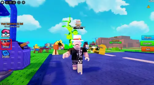 Коды Растения против Мозгов (Plants vs Brainrots) на октябрь 2025